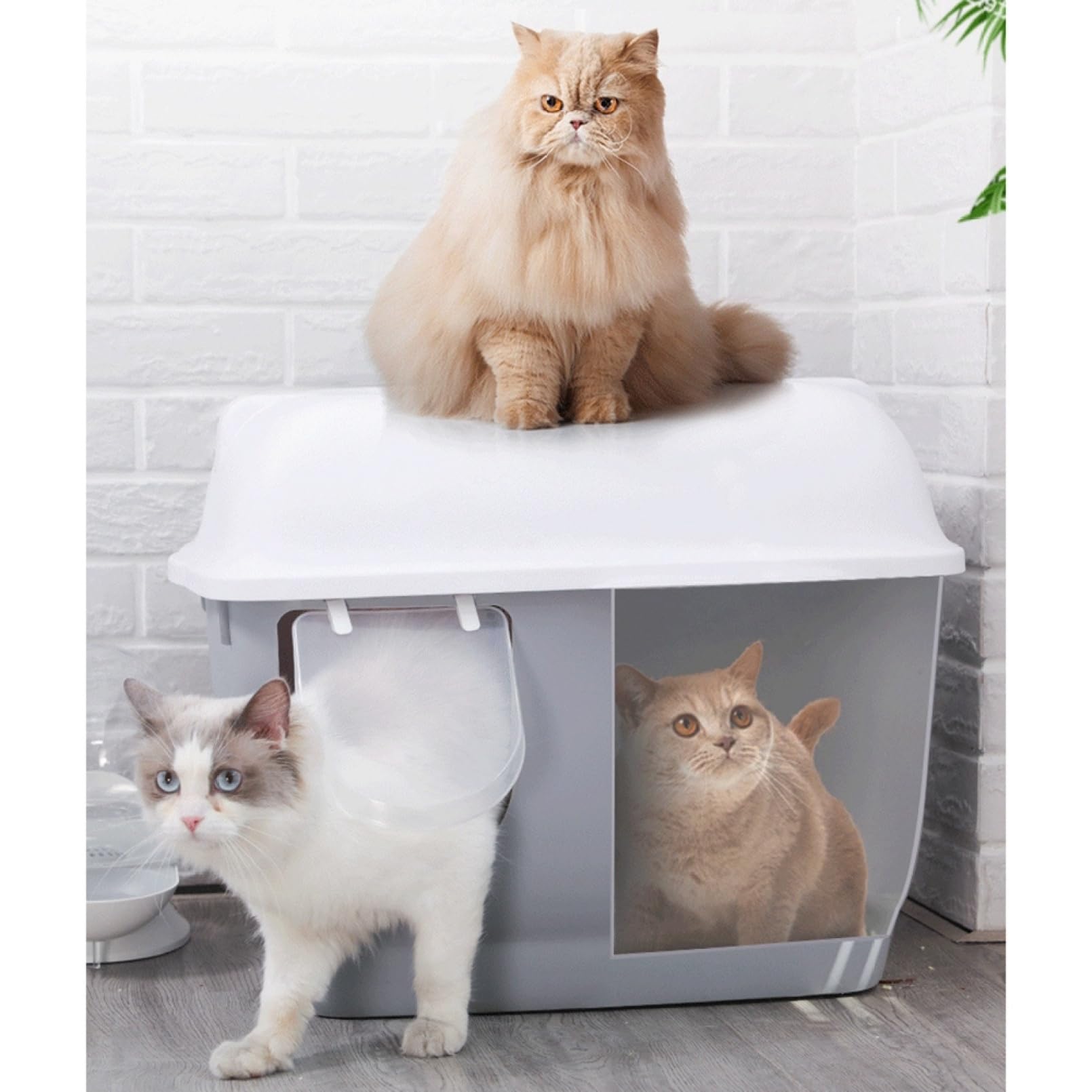 Amazon | 猫トイレ ドーム型 フルカバー L型 大型猫 全密閉式カバー